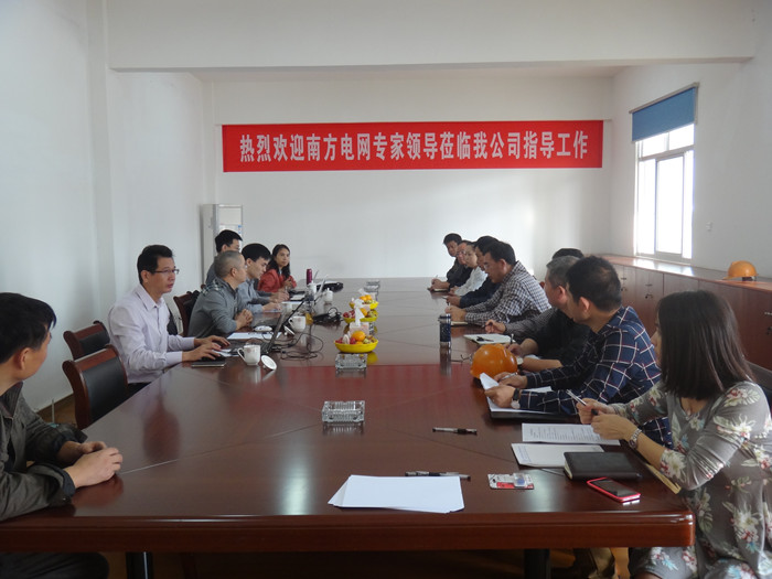 Successfully passed the South China Power Grid Company supplier site qualification audit
